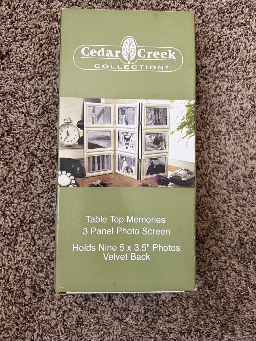 Kirklands Green 3-Panel Tabletop Photo Screen